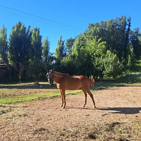 Petite Ferme Au Coeur De La Provence * Valensole