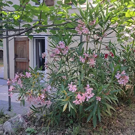 Holiday home Petite Ferme Au Coeur De La Provence *