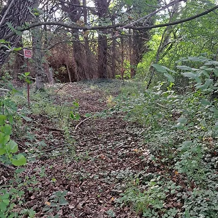 Petite Ferme Au Coeur De La Provence * 발랑솔